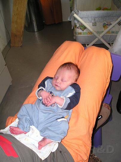 Imme 14 juli 2006 (15).JPG